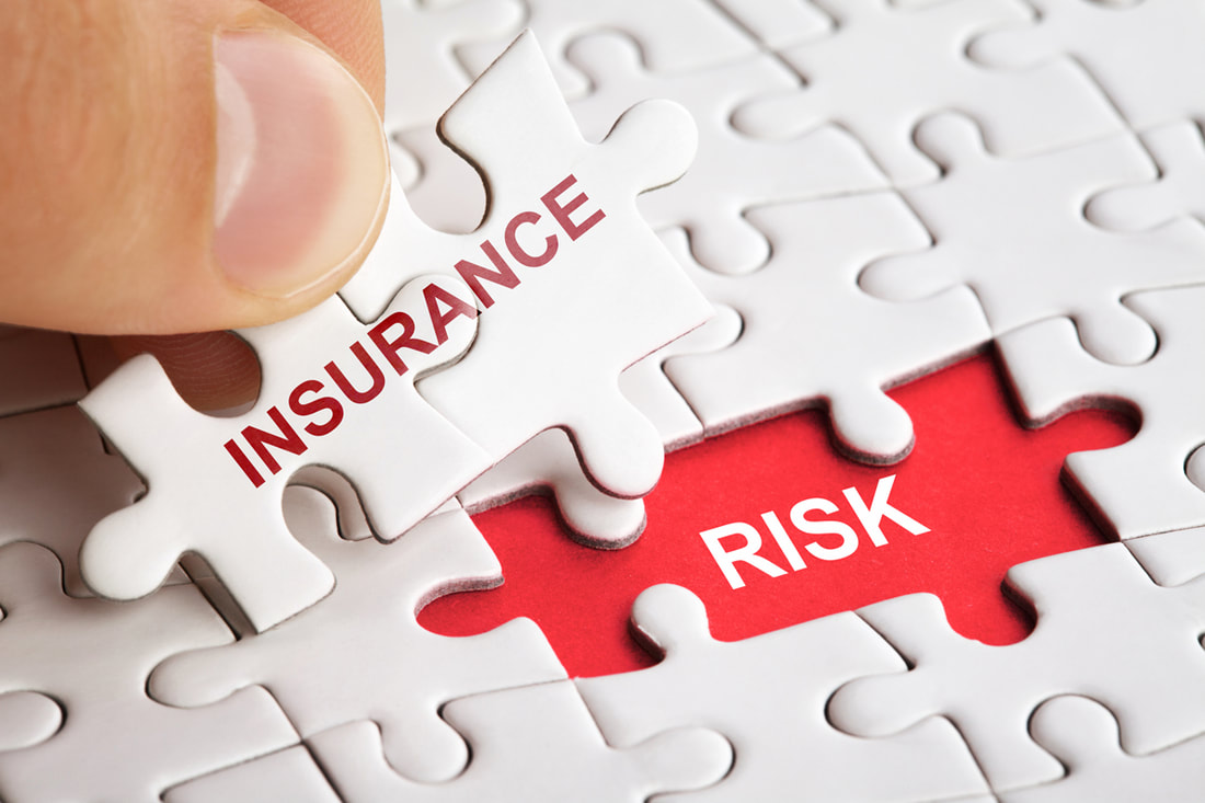 insurance risk services