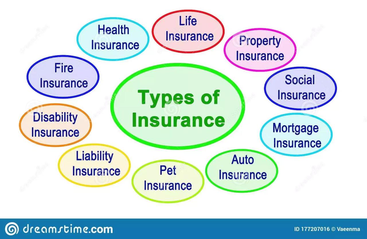 insurance terms terbaru