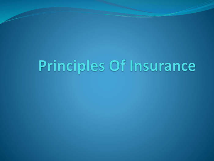 Is foremost a good insurance company