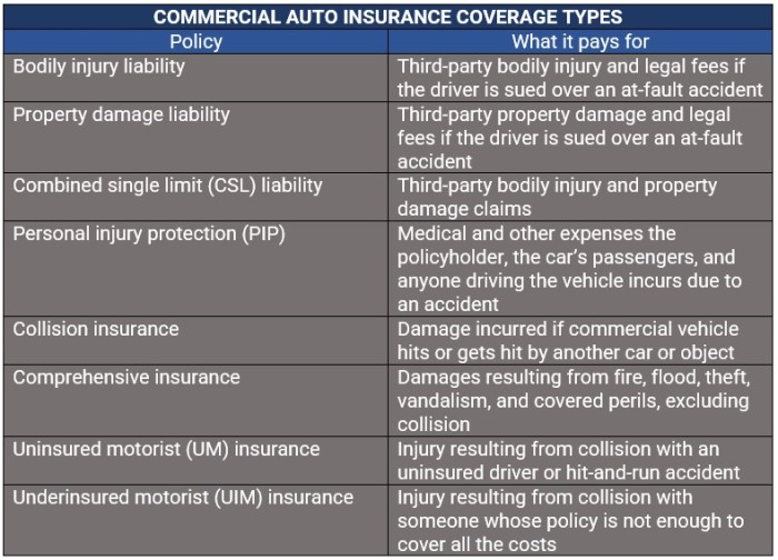 Versicherungsschutz lakefront dentistry denial appealing csaa compare easystand autoinsurance insuranceblog