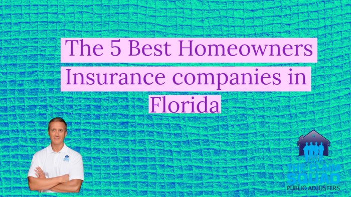 What insurance companies are pulling out of florida