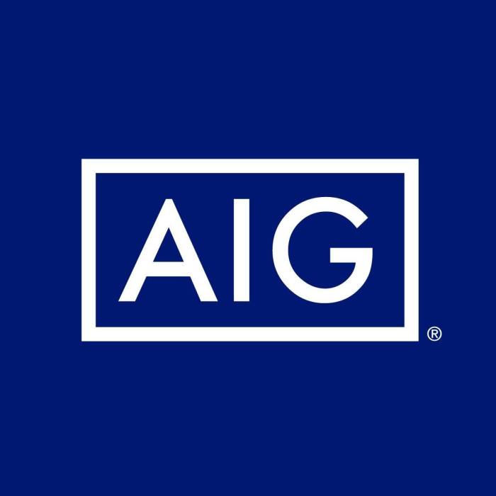 What is aig insurance company