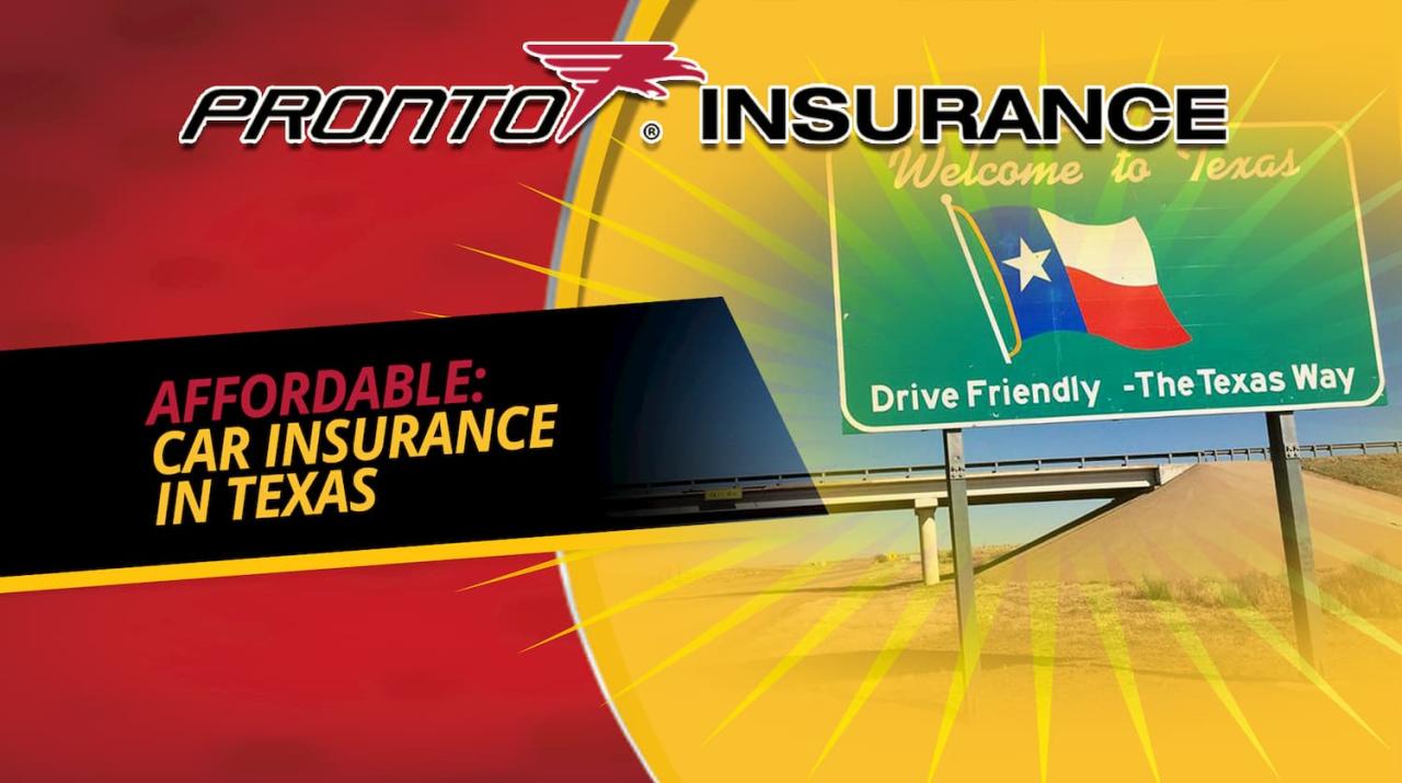 Texas car insurance cheap