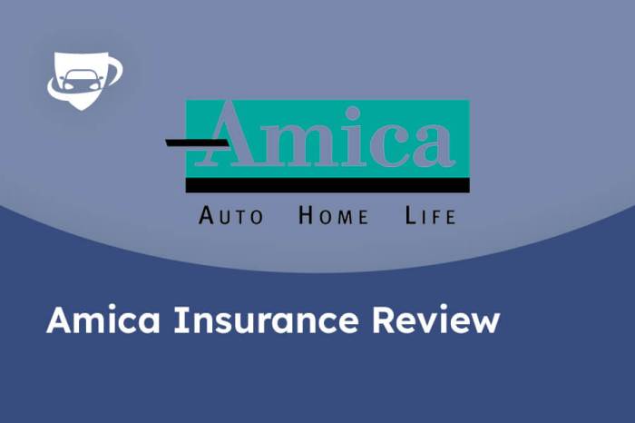 Amica auto insurance review