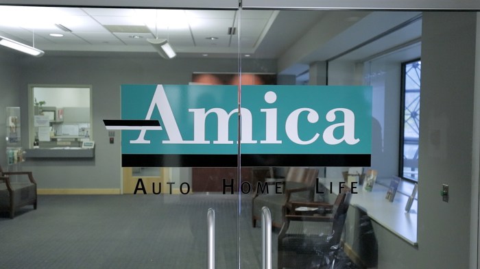 Is amica a good auto insurance company