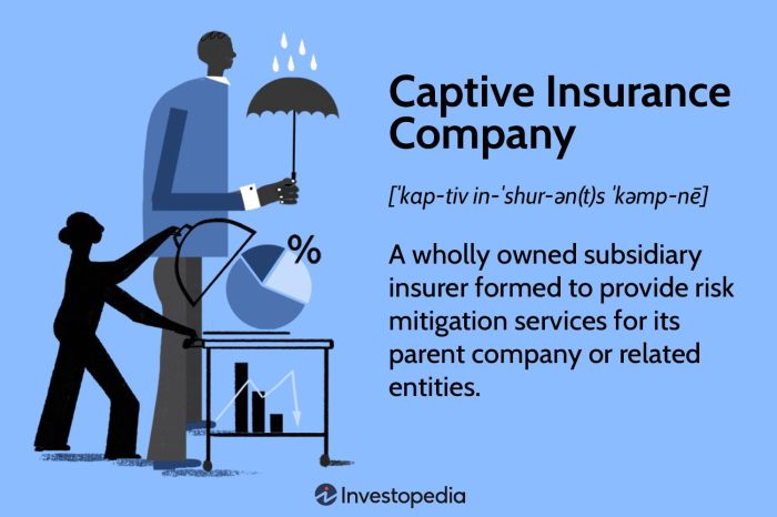 A captive insurance company