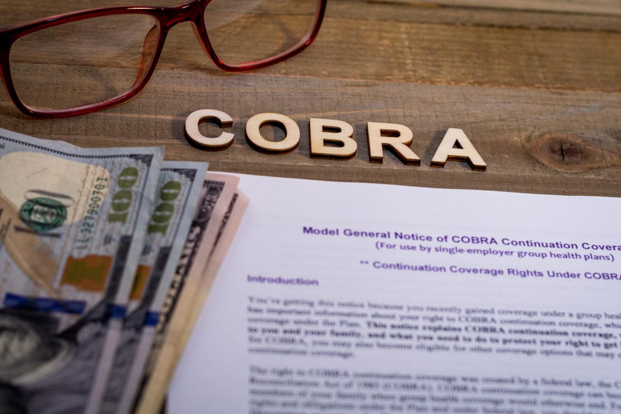 Is cobra health insurance expensive