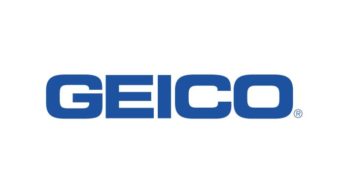 Geico pet insurance