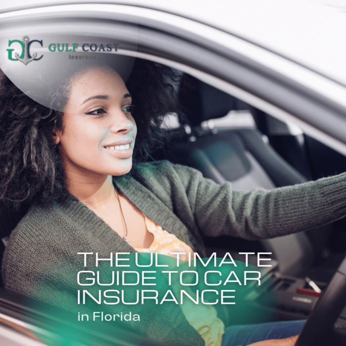 How to start your own car insurance company