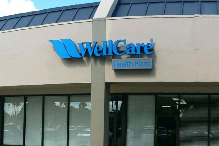 Wellcare medicare advantage