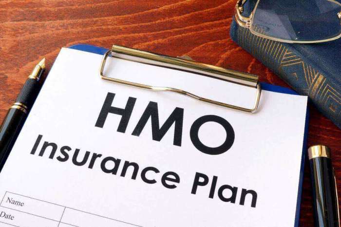 Hmo insurance