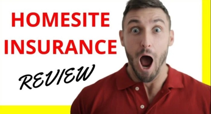 Is homesite a good insurance company