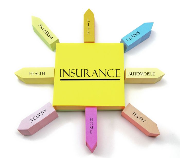 Insurance insurance insurance