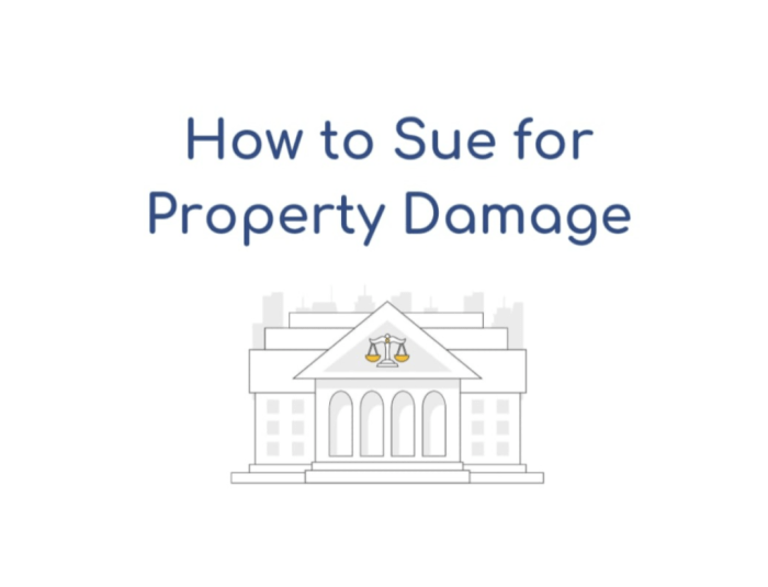 How much can you sue an insurance company for