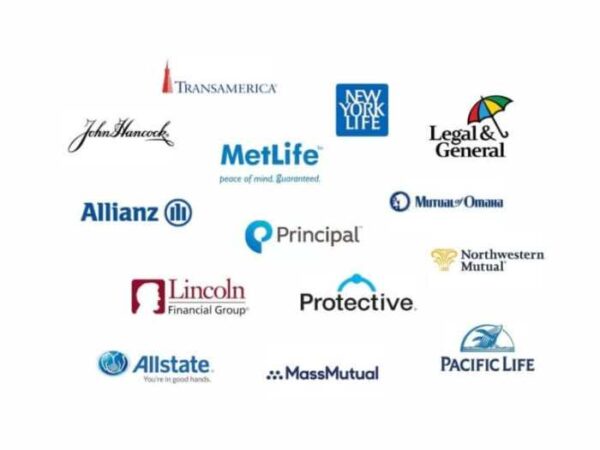 What are the largest insurance companies