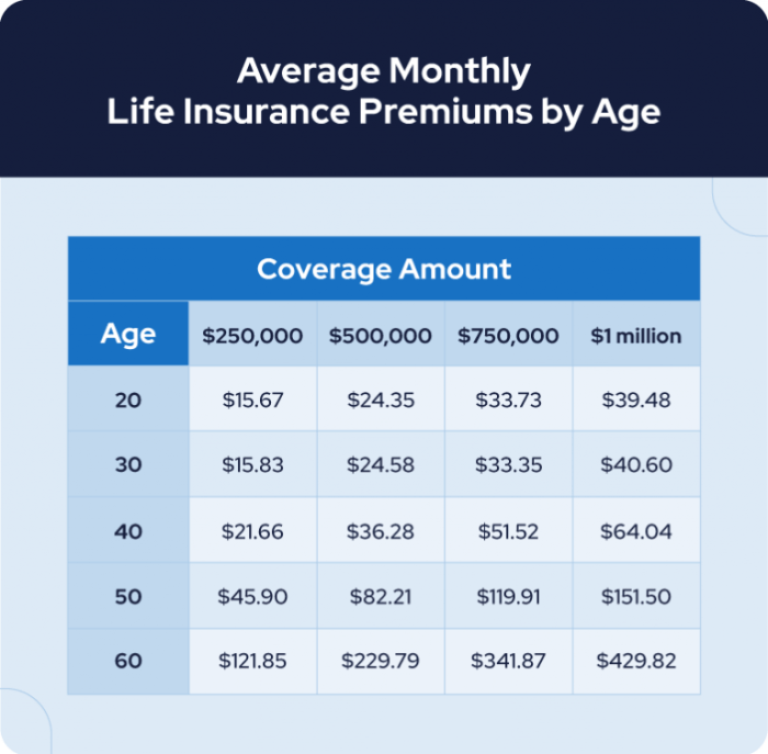 How much is life insurance