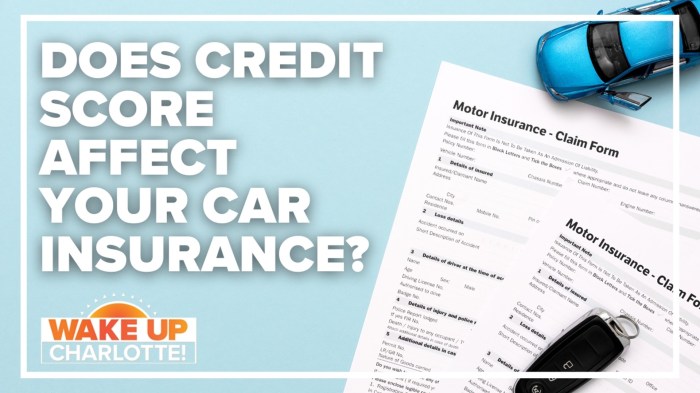 Do car insurance companies check your credit