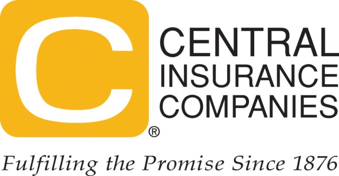 A central insurance company phone number