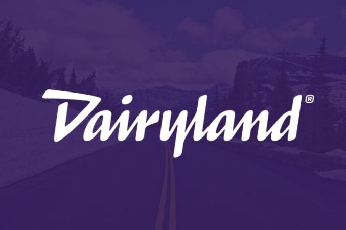 Insurance dairyland