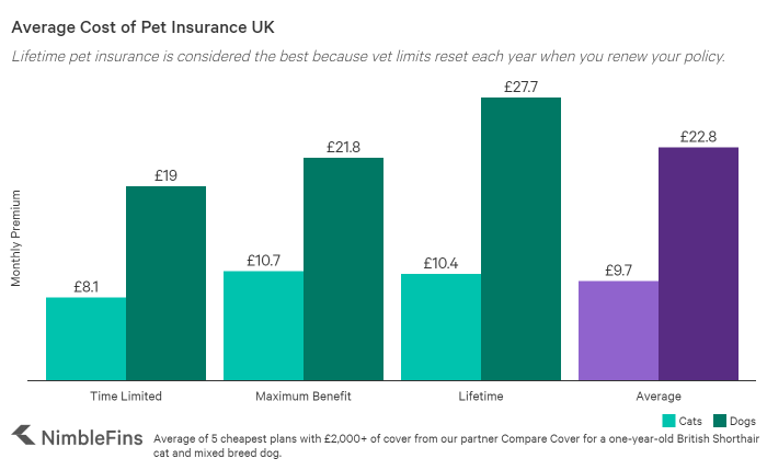 Pet insurance cost average advisoryhq much guide