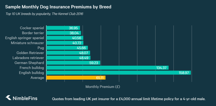 Pet insurance cost