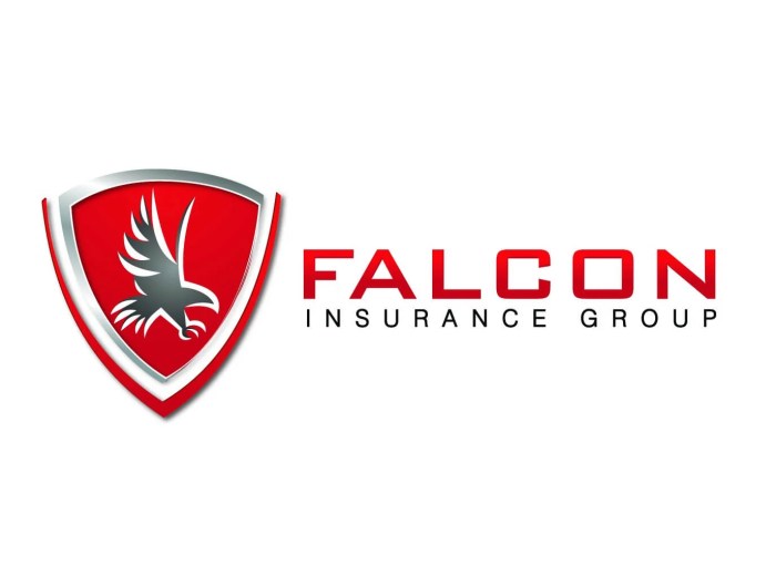 Falcon insurance