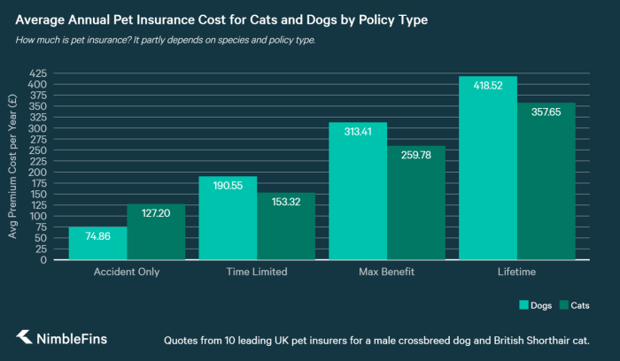 Pet insurance cost