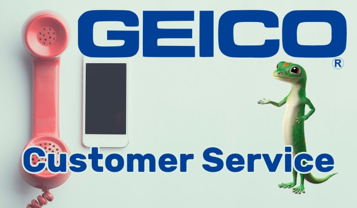 Geico insurance