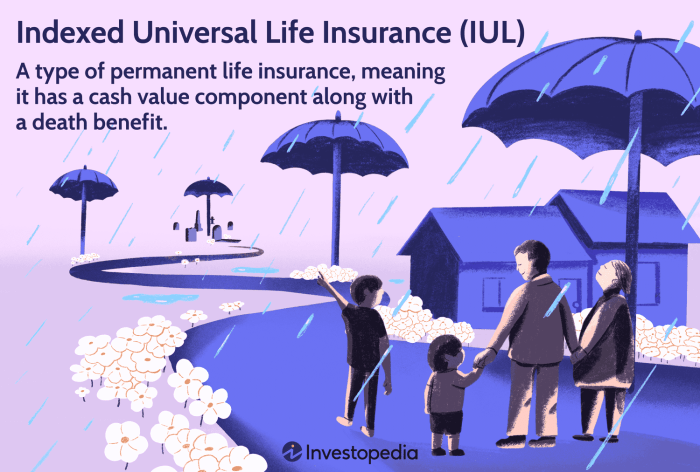 Indexed universal iul insurance awareness risk benefits