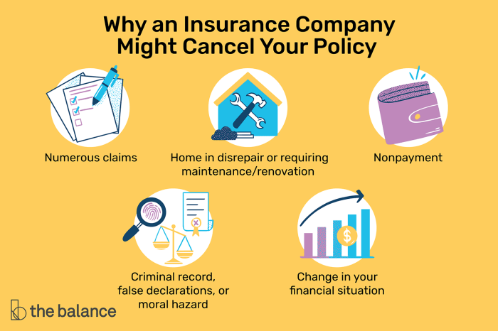 Can home insurance company drop you