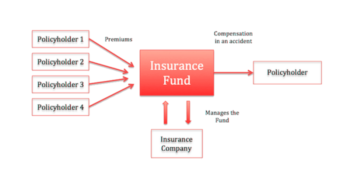 Insurance sundays reviews