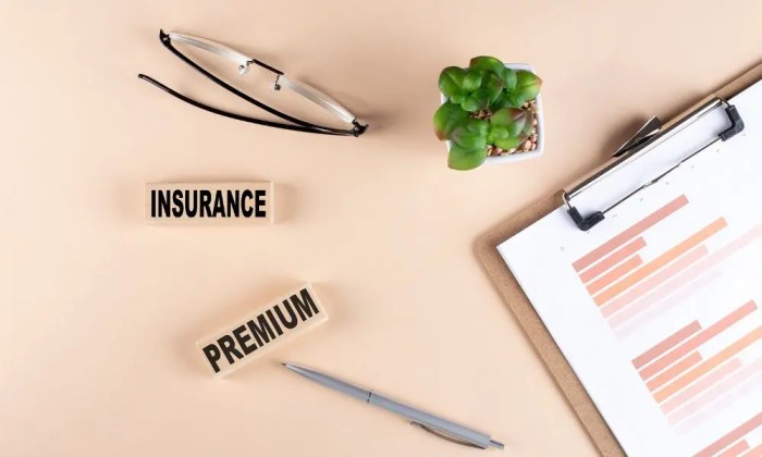 Can insurance companies increase premiums