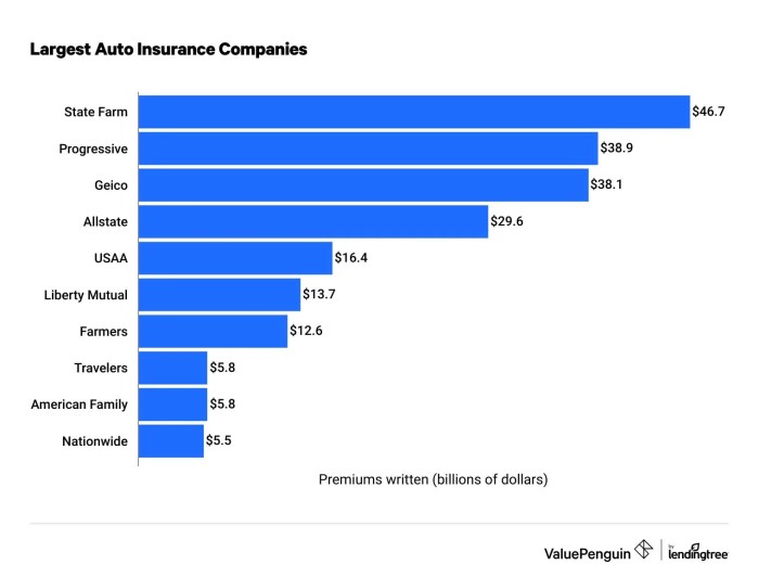 Who is the largest insurance company