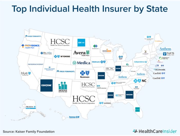 What are the biggest health insurance companies