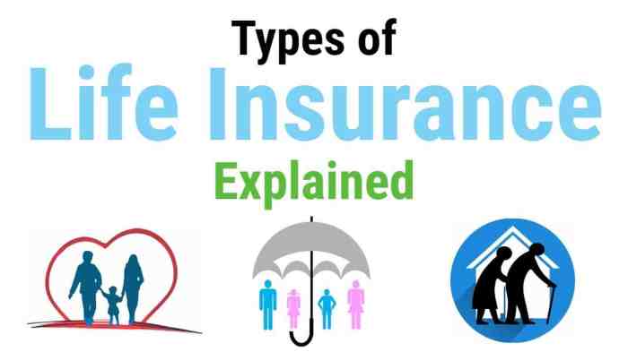 Insurance comparison infographic