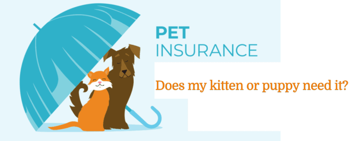 Pet health insurance