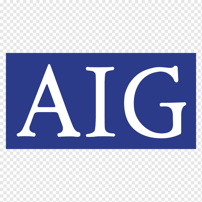 What is aig insurance company