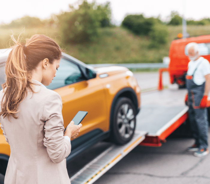 Roadside assistance pomoc drogowa ornikar voiture warszawa signalisation camijou danger