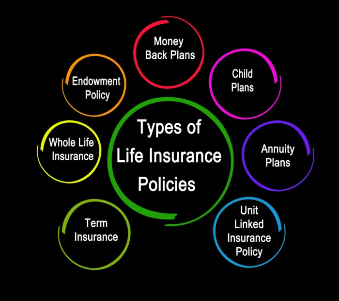 How many different types of life insurance companies are there