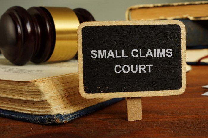 How to sue insurance company small claims