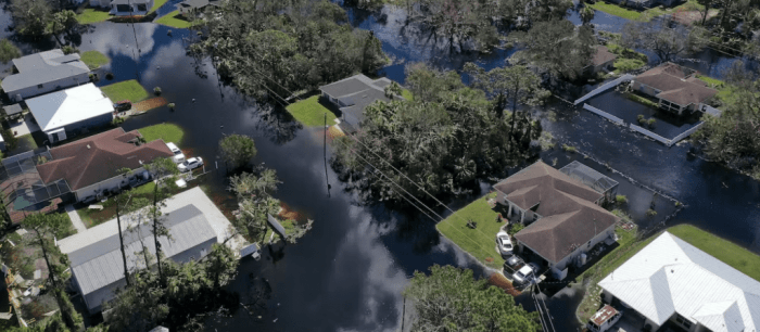 What insurance companies are pulling out of florida