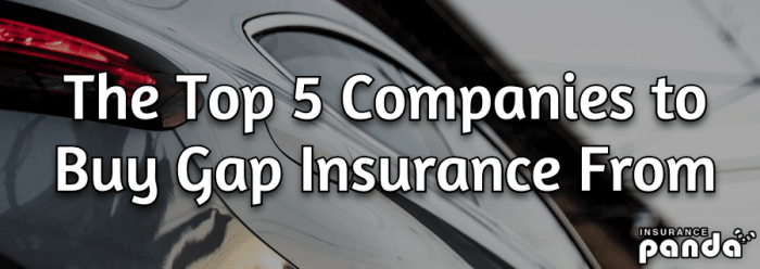 What insurance companies offer gap