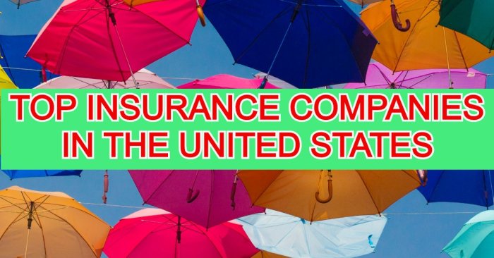 How many insurance companies are there in the us