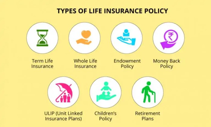 How many different types of life insurance companies are there