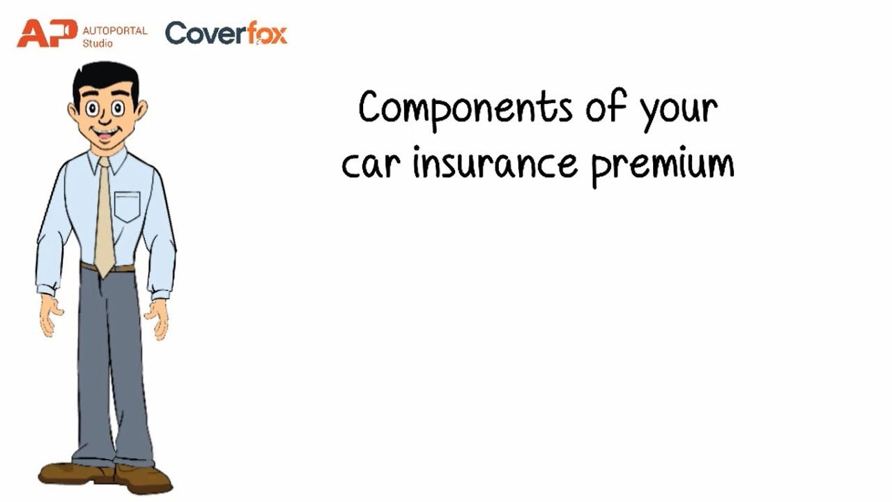 What does car insurance look like